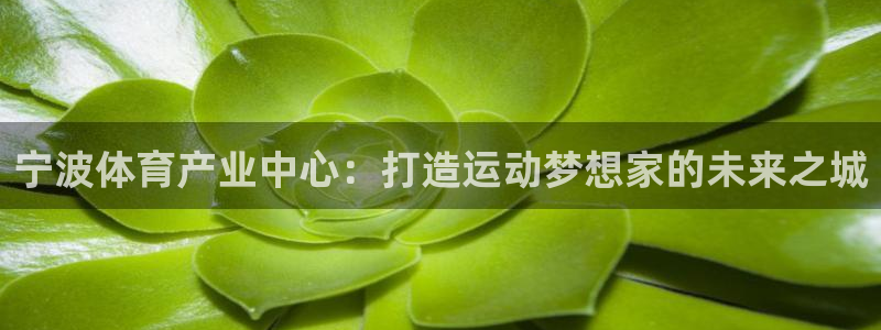 米兰体育官方下载入口：宁波体育产业中心：打造运动梦想家的未来之城