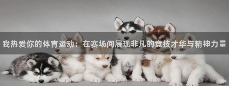 米兰体育报：我热爱你的体育运动：在赛场间展现非凡的竞技才华与精神力量