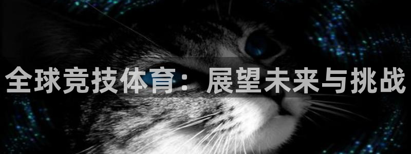 米兰体育场