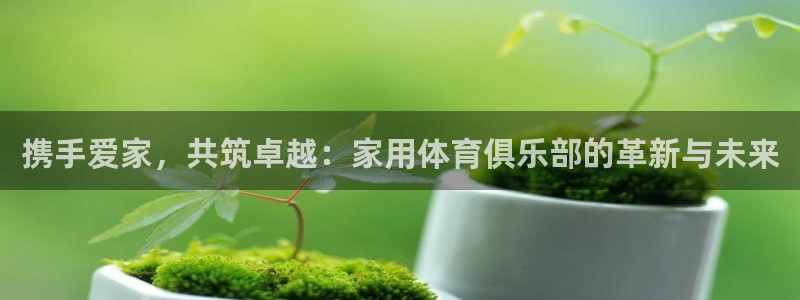 米兰体育.：携手爱家，共筑卓越：家用体育俱乐部的革新与未来