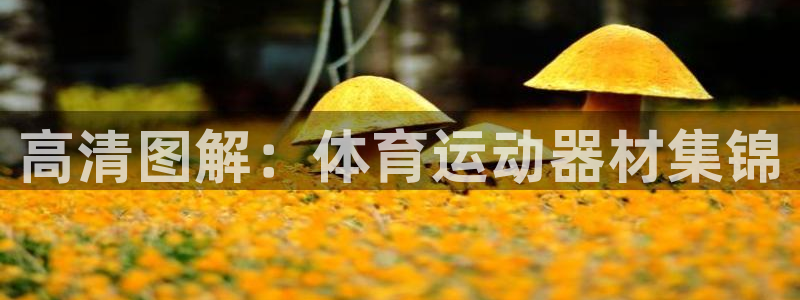 米兰体育综合官网：高清图解：体育运动器材集锦