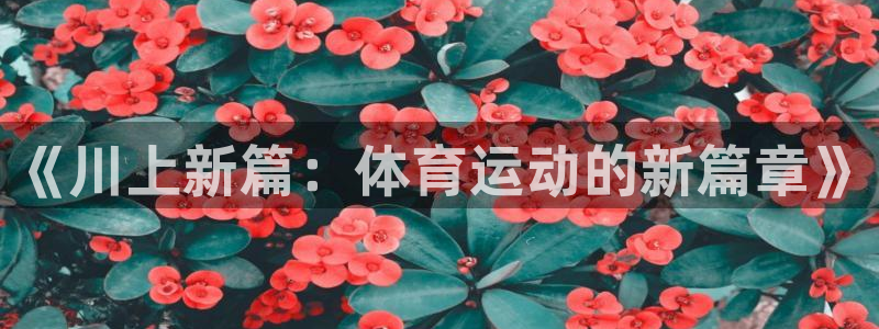 米兰体育下载官网最新版：《川上新篇：体育运动的新篇章》